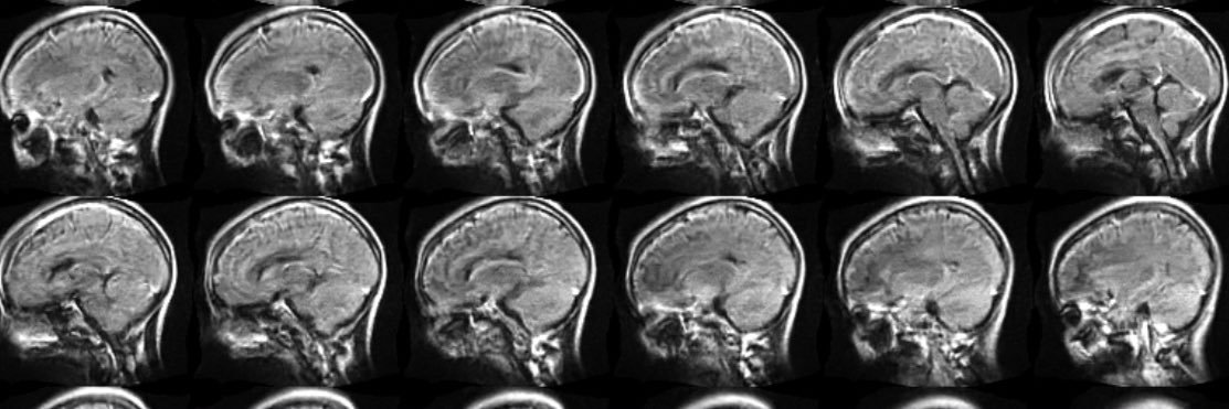 Grace Halupnik banner