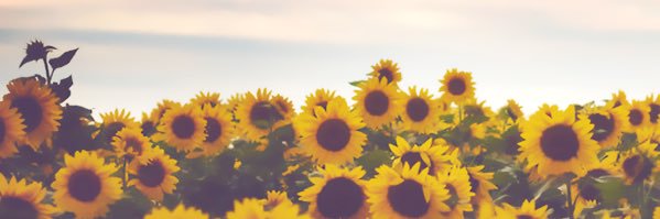 amber_deleon_'s profile banner image