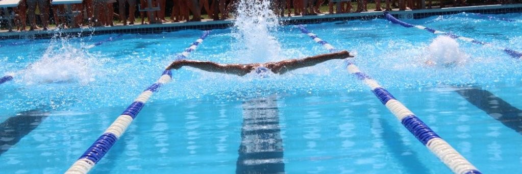 pingrava's profile banner image