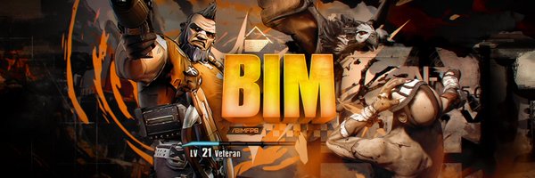 bimfps Profile Banner