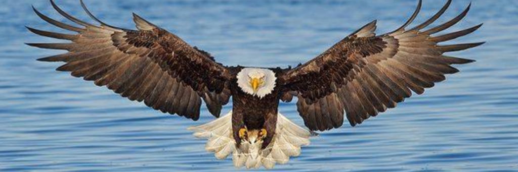 kerryogorman's profile banner image