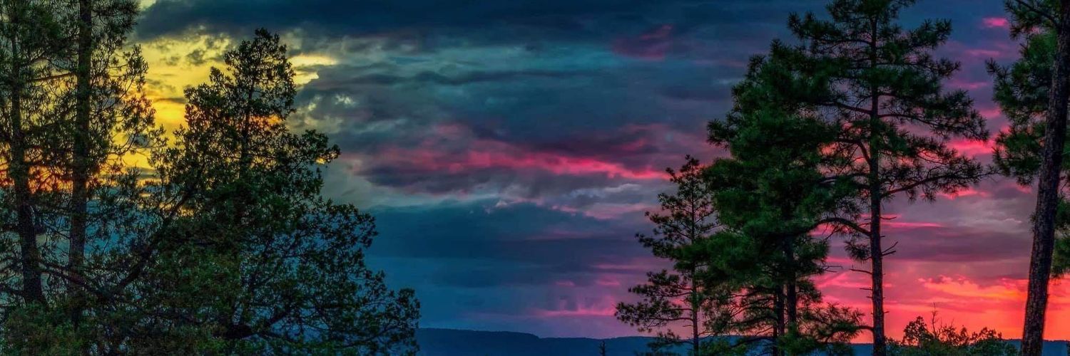 punkleaf's profile banner image
