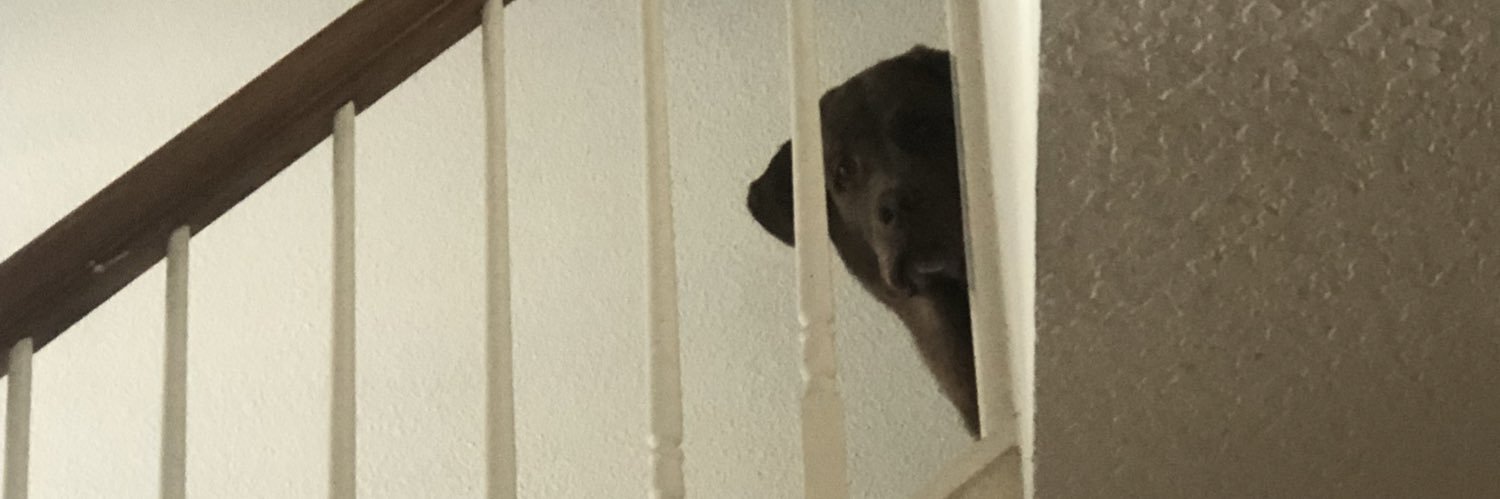 gilbertg12's profile banner image