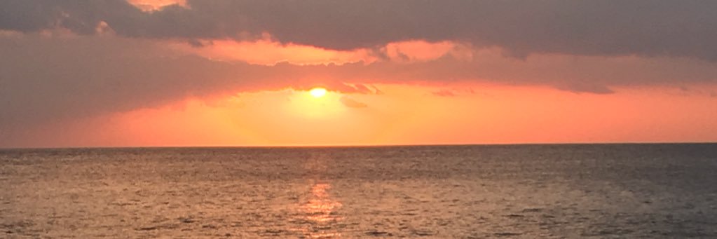 nixx_'s profile banner image