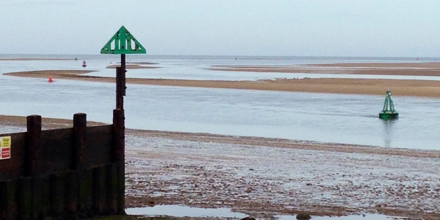 debbie lyddon banner