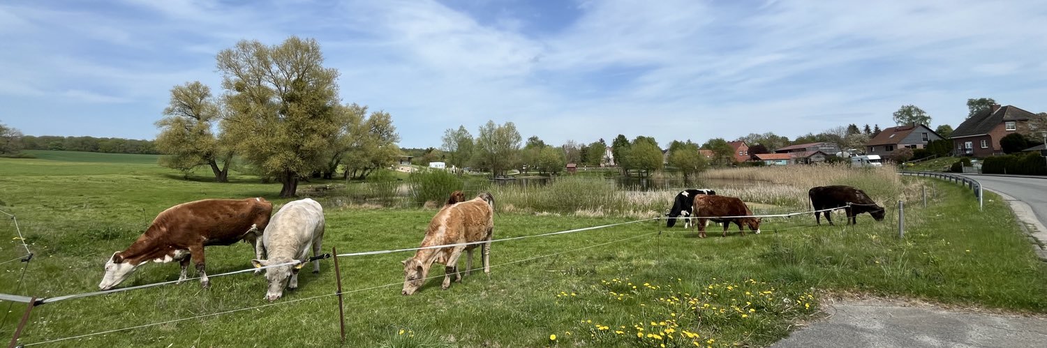 Heike Müller 🐄 🐕‍🦺🐈📚🌻 banner