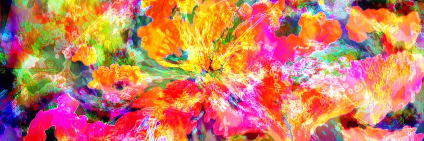 maxinedooley89's profile banner image