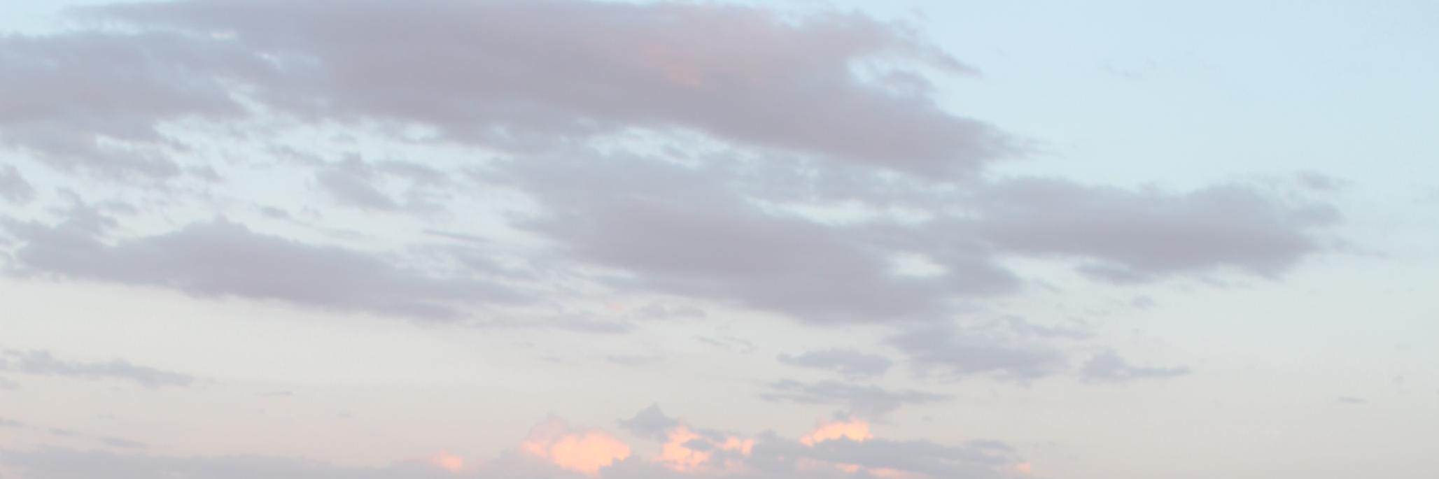 tropina02's profile banner image