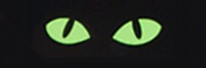 Zidoniuz banner
