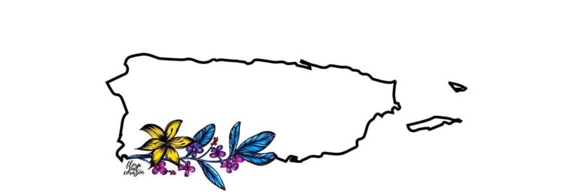 paocaj's profile banner image