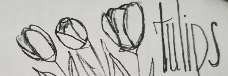 eylemsizce's profile banner image