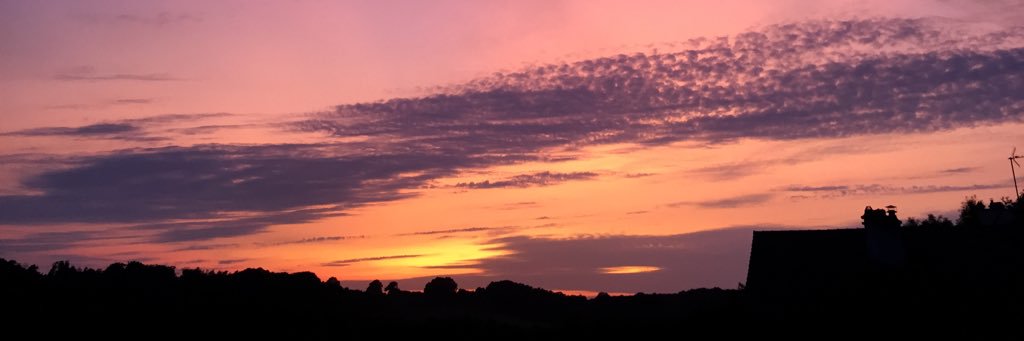 rose_fletcher27's profile banner image