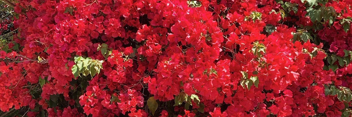 kylee_arnold's profile banner image