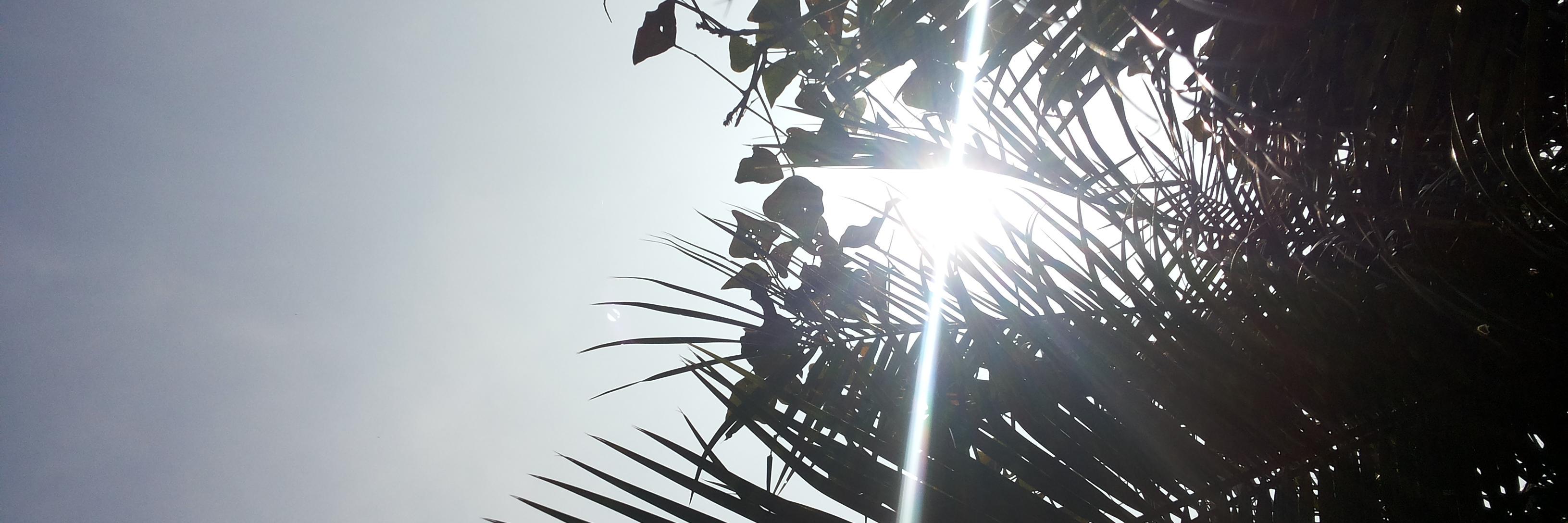 shirleyabn's profile banner image