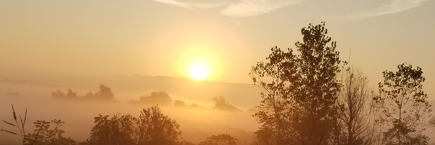 Taradick's profile banner image