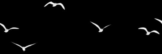 ZebGould's profile banner image