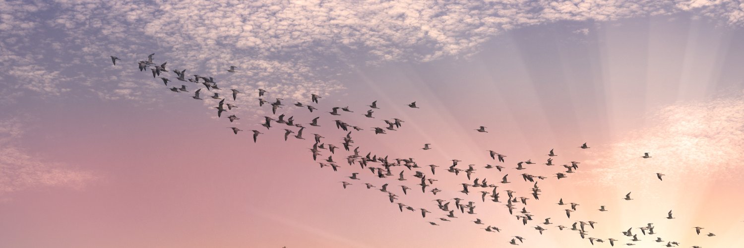 OptionsRising's profile banner image