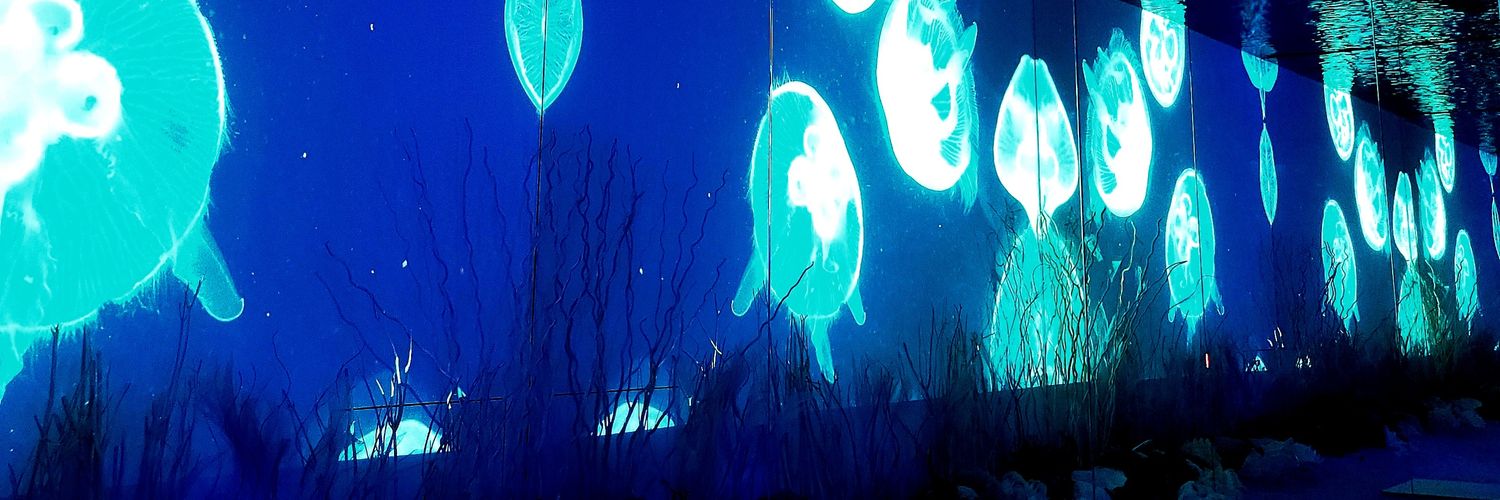 🌙🫧🫧Nini🫧🫧🌙 banner