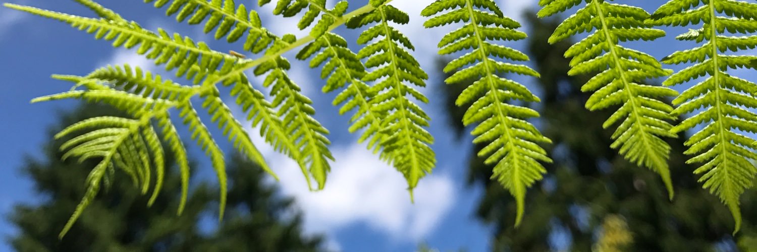 pagequeue's profile banner image