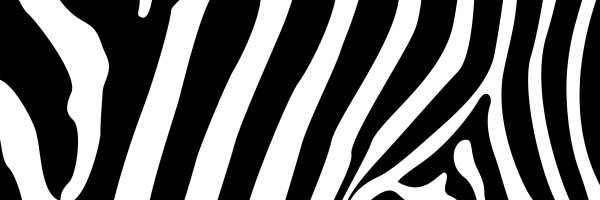 zebraevents's profile banner image