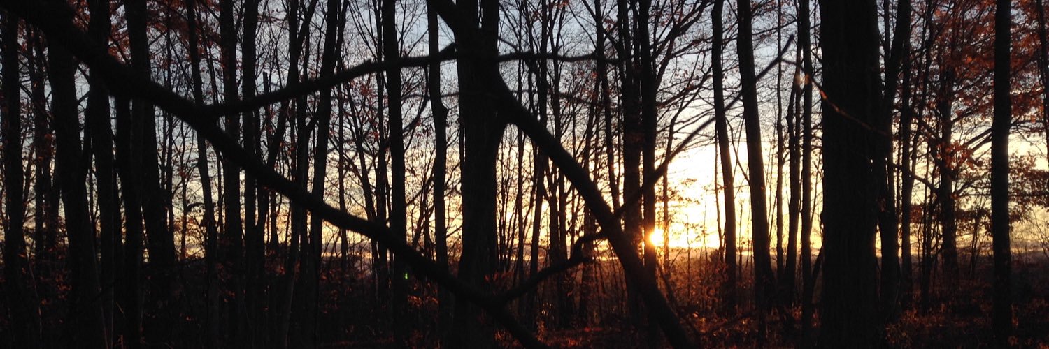 so_hatch's profile banner image