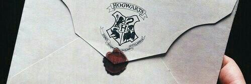 Chamber of Secrets banner