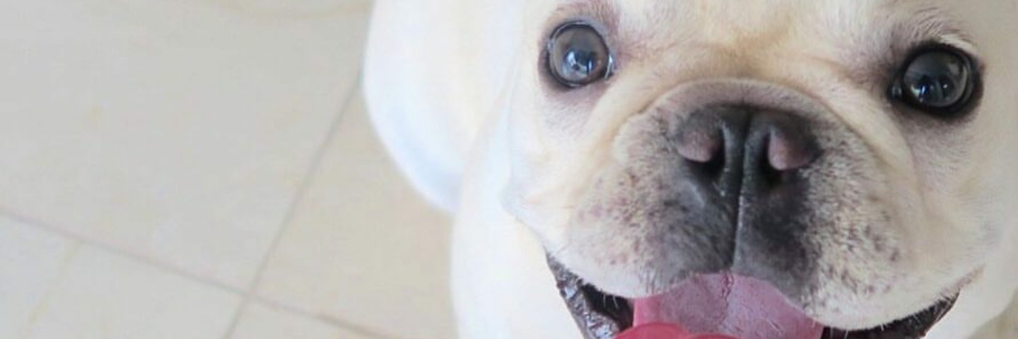 pekitasilver's profile banner image