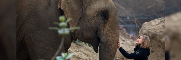 MurielArnal Profile Banner