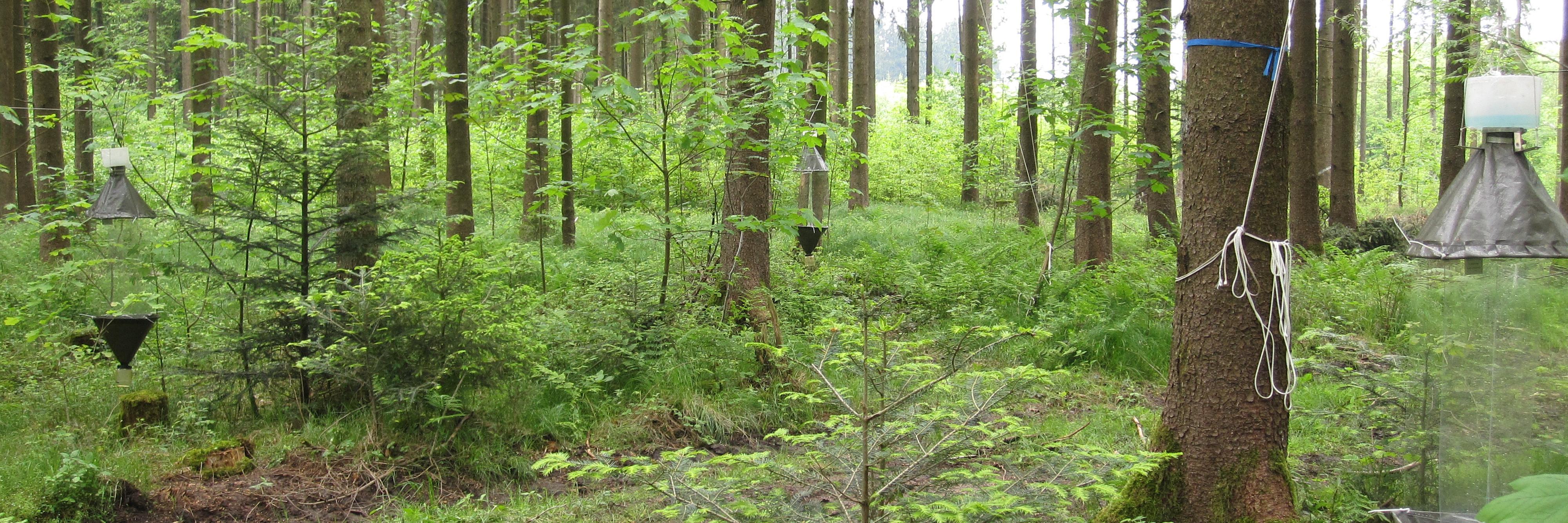 Terrestrial Ecology banner