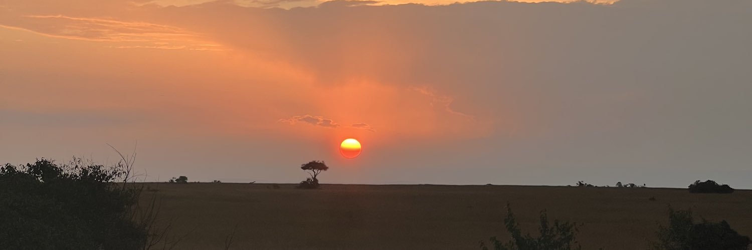 MCiliberto's profile banner image