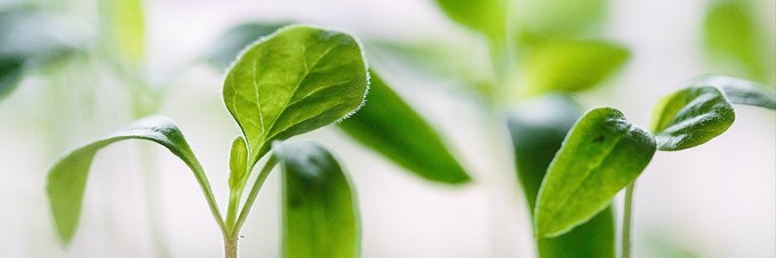 kellyolstad's profile banner image