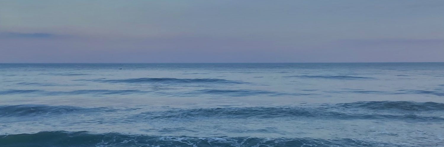 dariabock's profile banner image