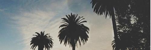 BeaDiMascio's profile banner image