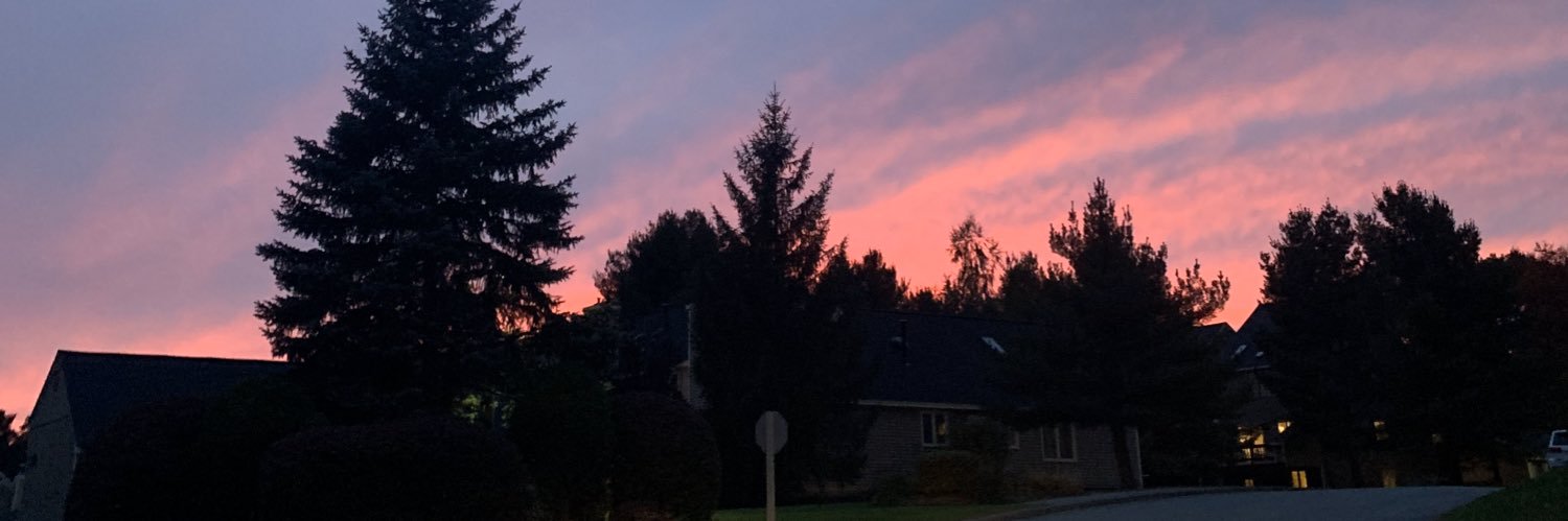 meg_brenn's profile banner image