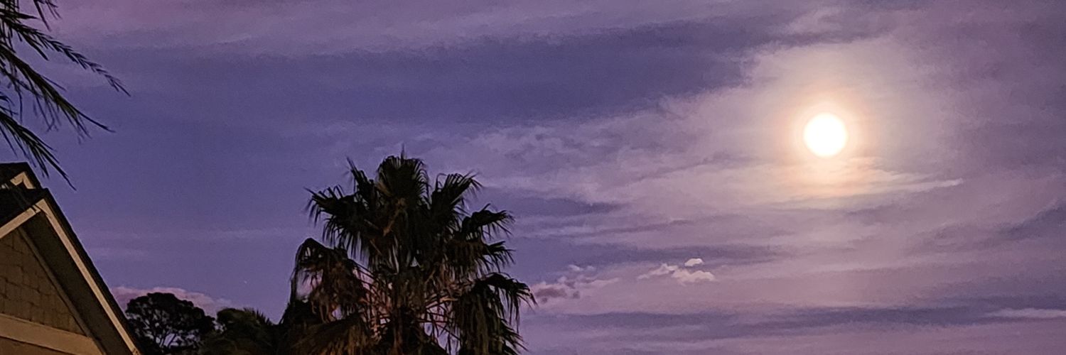 bmgrisham's profile banner image