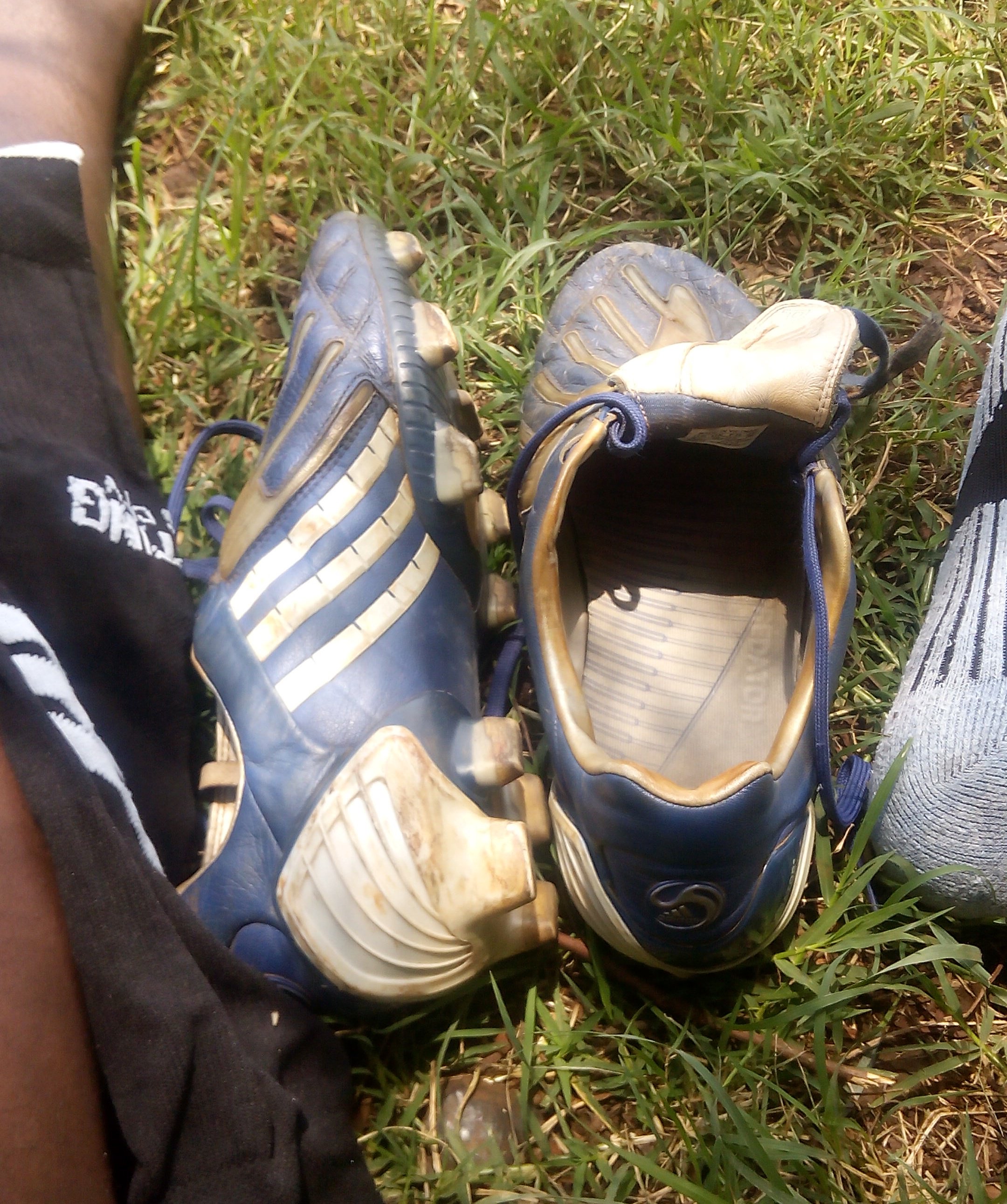 Oducobra's profile banner image