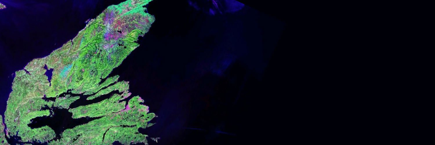 NKearnsEPS's profile banner image