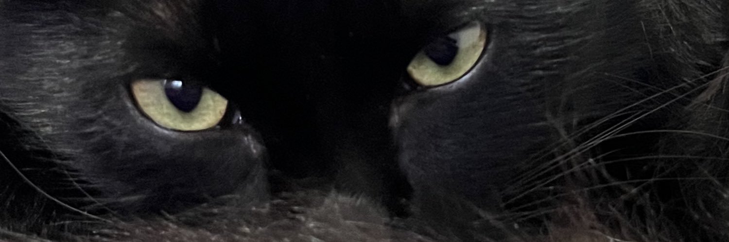 oldxsccp's profile banner image