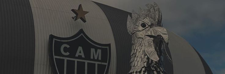 Fê ⚘️ banner