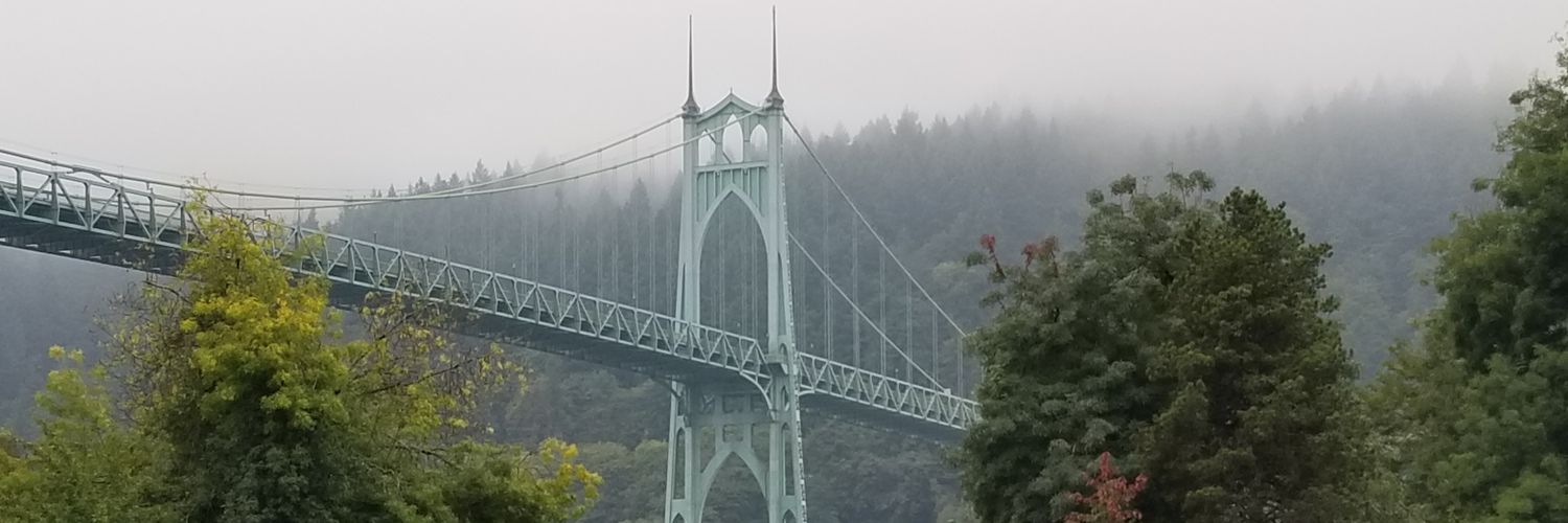 NMoe's profile banner image