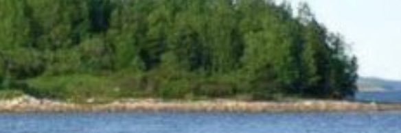 LooksLikeCouldB's profile banner image