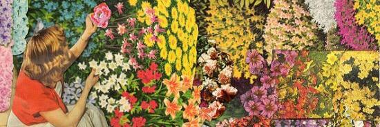 Gail Pierson Gallery banner