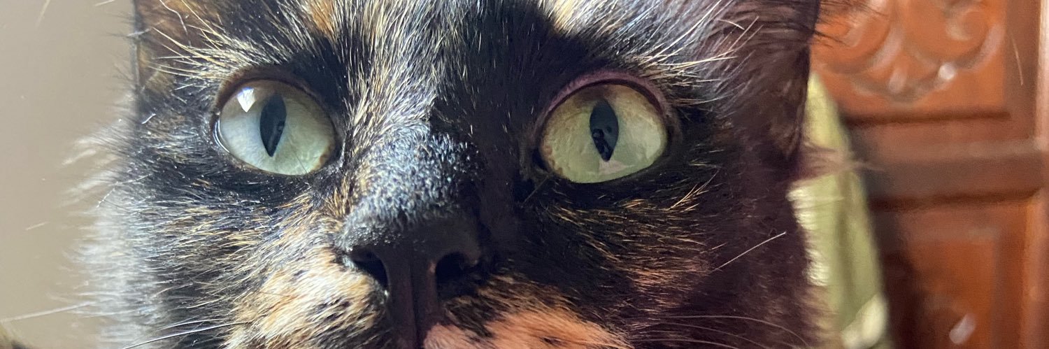 Alexia, não Alexa banner