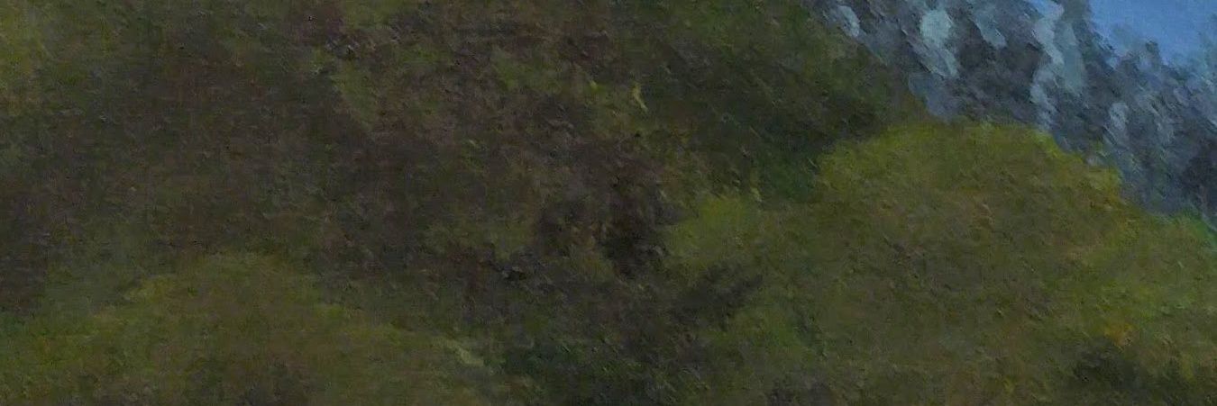 Tish banner