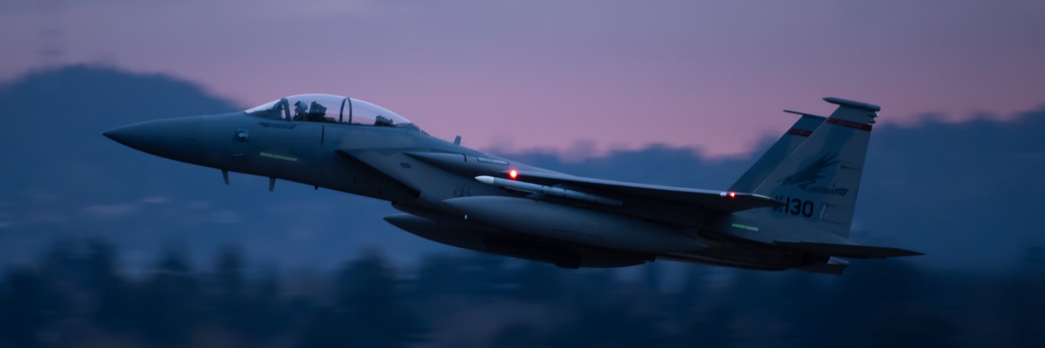 realadjustings's profile banner image