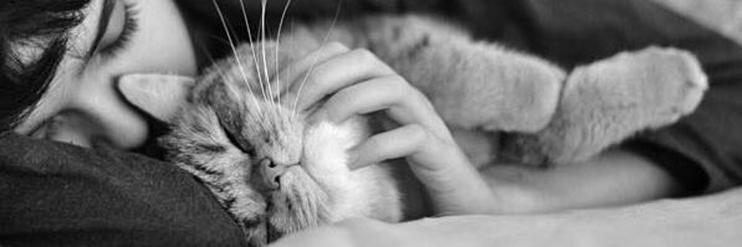 alaash463's profile banner image