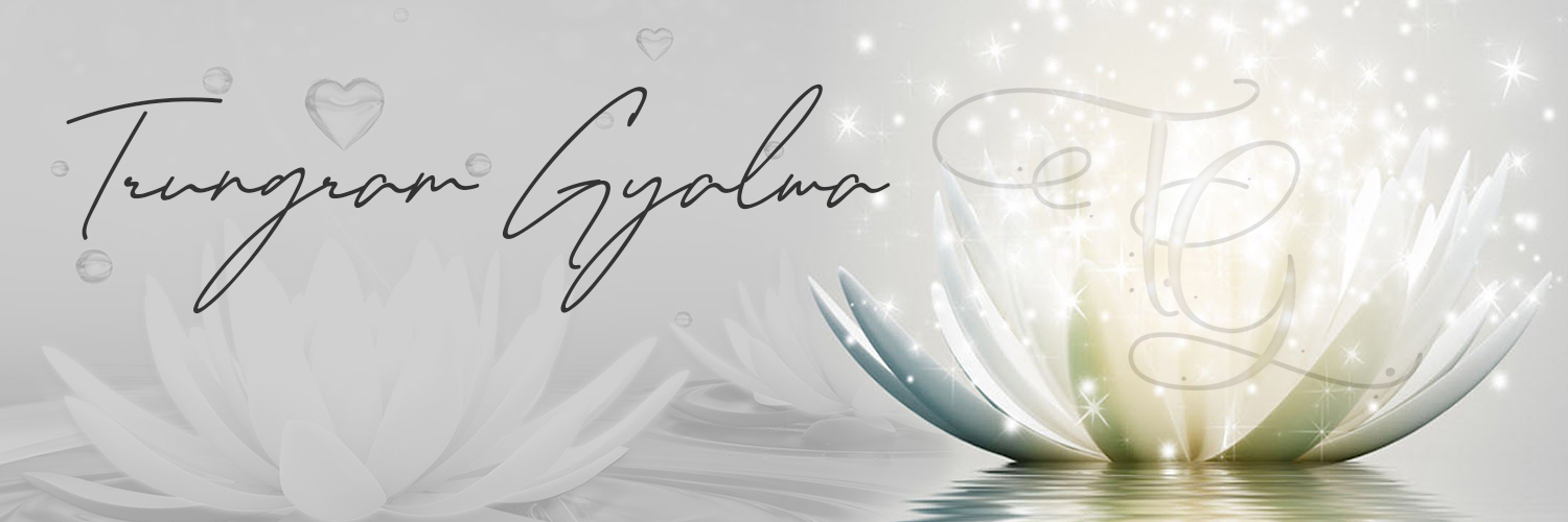 trungram's profile banner image