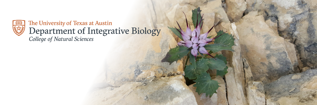 Integrative Biology banner