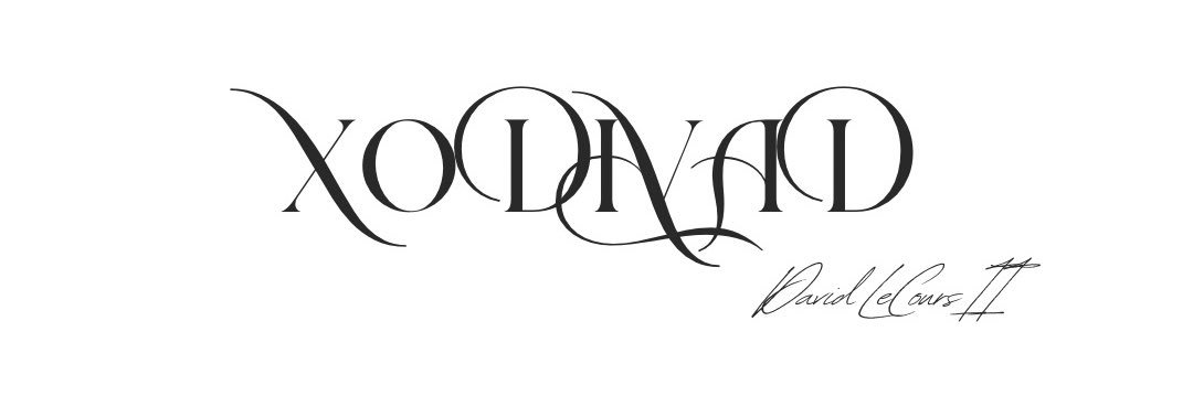 David LeCours II banner