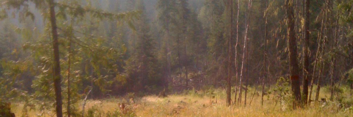 brycebroenneke's profile banner image